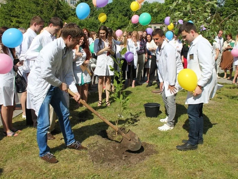 В честь последнего звонка студенты мединститута БФУ им. И. Канта посадили магнолию