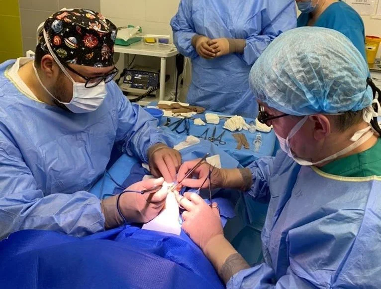 «Формирование сосудистого доступа для гемодиализа от «А» до «Я»