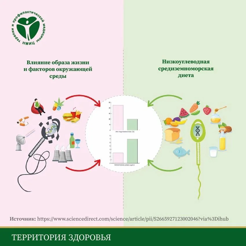 photo_2024-11-18_11-35-05 (2).jpg